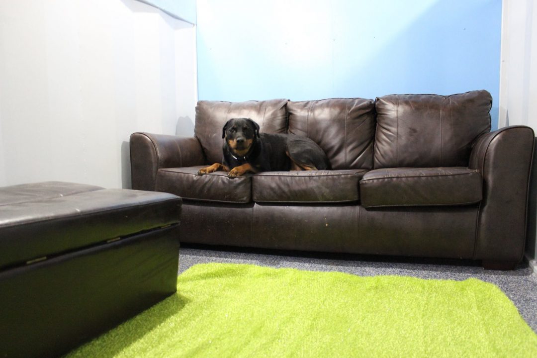 Luxury Suite (Hidden)