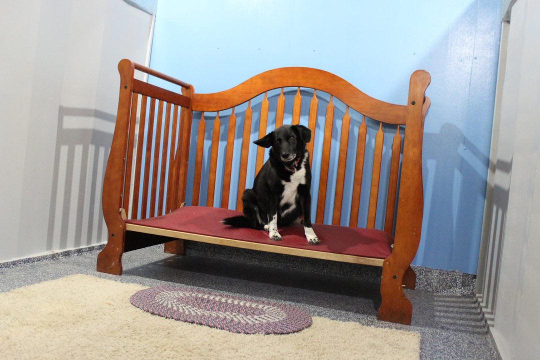 Medium Suite (Hidden)