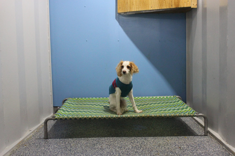 Small Suite (hidden)